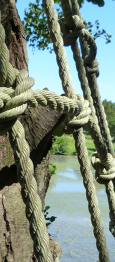 Parcours dans les arbres