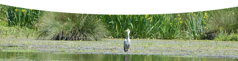 Lac de Laromet